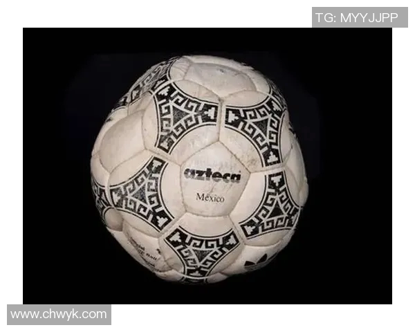 马拉多纳与切格瓦拉：足球与革命的交汇