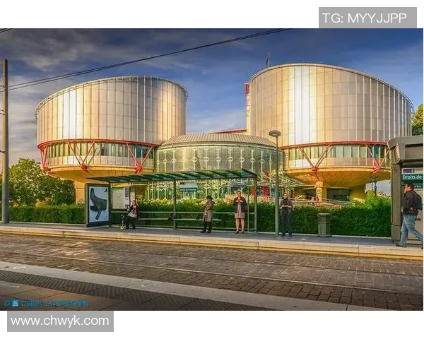 赖斯的影响力与全球政治格局的变迁探讨与分析